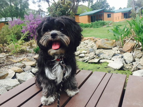 Armidale Tourist Park - Accommodation Main Beach 32