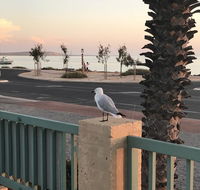 Shark Bay Seafront Apartments - Accommodation Main Beach