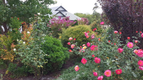 Glenelg On King Bed & Breakfast - Accommodation Main Beach 15