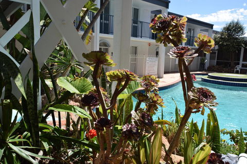 West Beach Lagoon 220 Stylish And Cozy - Accommodation Main Beach 18