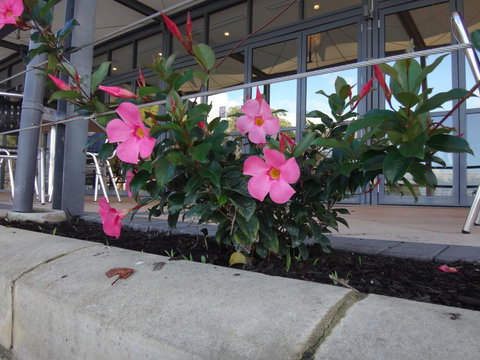 Mandurah Quay Resort - Accommodation Main Beach 34