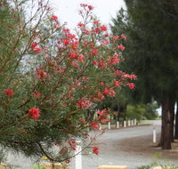 The Heights Bed  Breakfast - Accommodation Main Beach