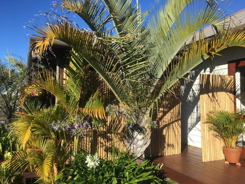 Bella Bali Gardens - Accommodation Main Beach 7