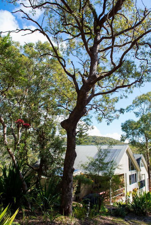 Nelson Bay Bed & Breakfast - Accommodation Main Beach 42