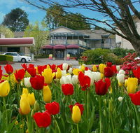 Nesuto Leura Gardens formerly Waldorf Leura Gardens Resort - Accommodation Main Beach
