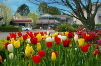 Book Leura Accommodation Vacations Accommodation Main Beach Accommodation Main Beach