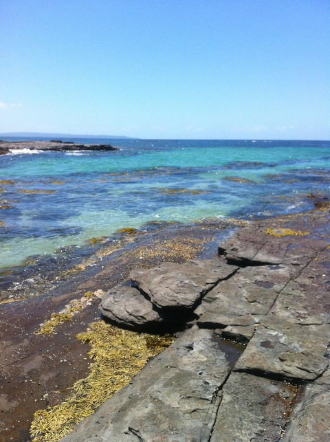 Jetz Bungalow - Accommodation Main Beach 9