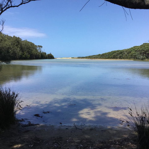 Jetz Bungalow - Accommodation Main Beach 5
