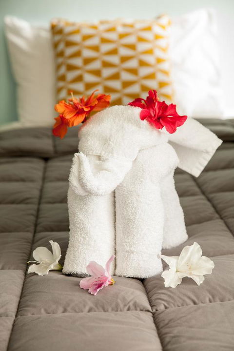 Kempsey Rose Motor Inn - Accommodation Main Beach 17