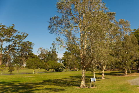 Kempsey Rose Motor Inn - Accommodation Main Beach 32