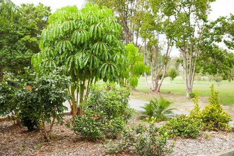 Kempsey Rose Motor Inn - Accommodation Main Beach 42