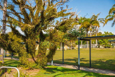 Kempsey Rose Motor Inn - Accommodation Main Beach 41