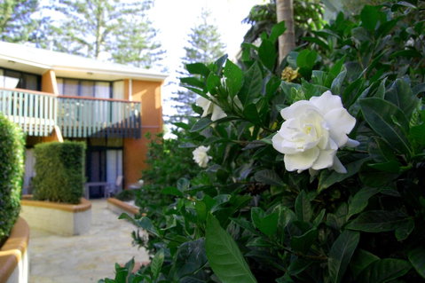 The Crest Byron Bay - Accommodation Main Beach 29