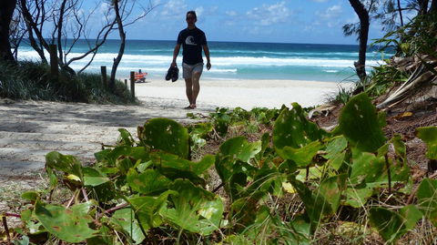 SaltBeach2302 - Accommodation Main Beach 15