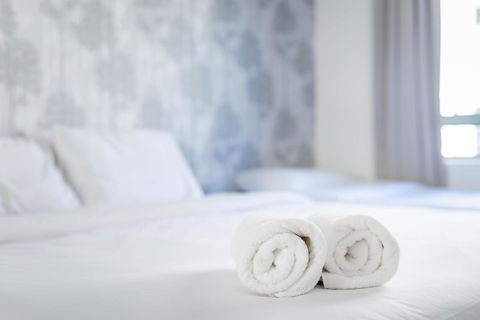 Apartments In Pyrmont - Accommodation Main Beach 6