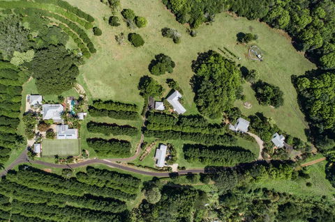 Byron Hinterland Villas - Accommodation Main Beach 17
