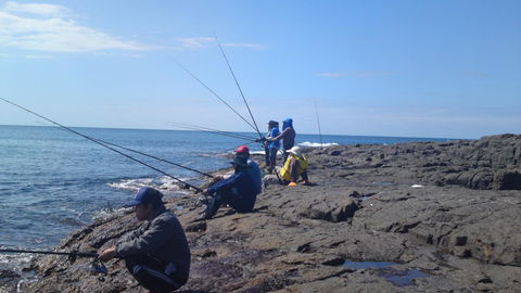 Sweet Spot Shellharbour - Accommodation Main Beach 13