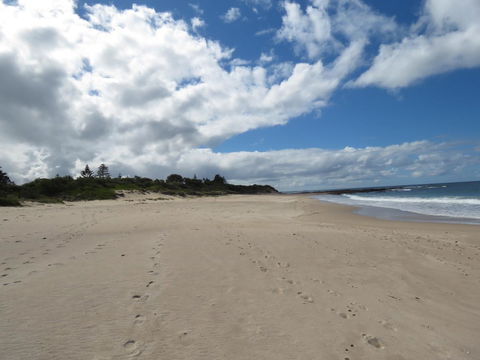 Sweet Spot Shellharbour - Accommodation Main Beach 15