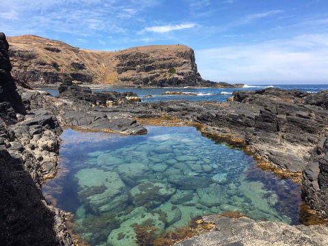 Sweet Spot Shellharbour - Accommodation Main Beach 17