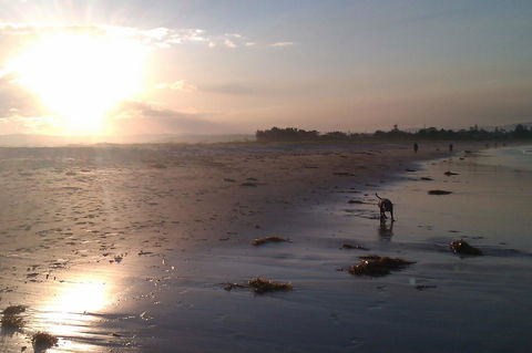 Sweet Spot Shellharbour - Accommodation Main Beach 12