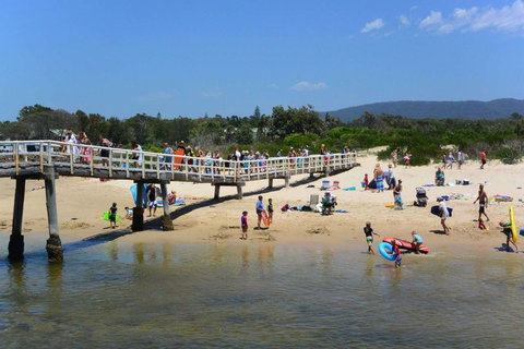 Bellhaven 2, 17 Willow Street - Accommodation Main Beach 6