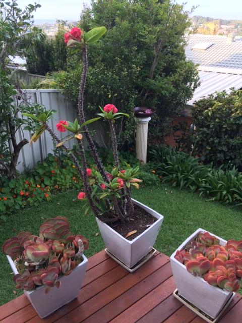 Churchill View Forster - Accommodation Main Beach 11