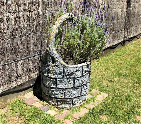 Apple Tree Cottage - Accommodation Main Beach 25