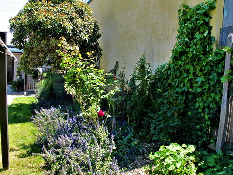 Apple Tree Cottage - Accommodation Main Beach 24