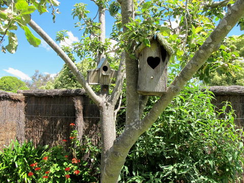 Apple Tree Cottage - Accommodation Main Beach 28