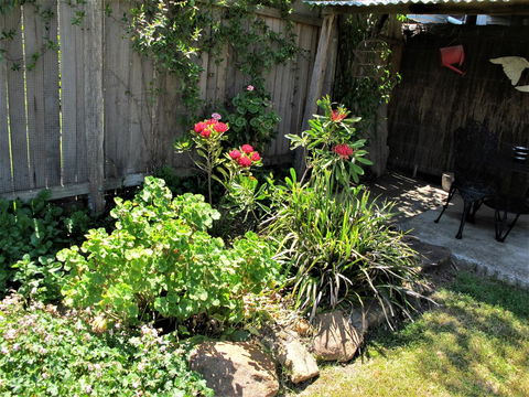 Apple Tree Cottage - Accommodation Main Beach 26