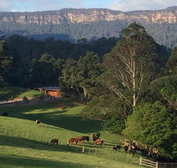 Amaroo Valley Springs - Accommodation Main Beach