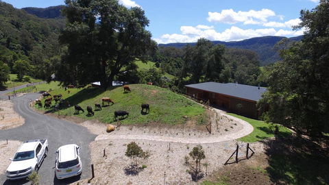 Amaroo Valley Springs - Accommodation Main Beach 19