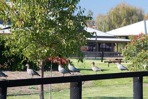 Potters Apartments - Accommodation Main Beach 25