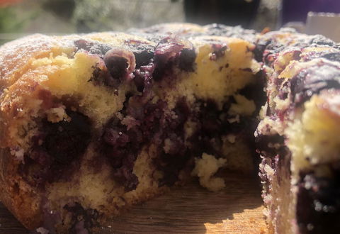 Jenkins Street Guesthouse - Accommodation Main Beach 3