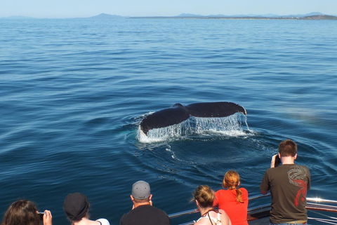 Pacific Marina Apartments - Accommodation Main Beach 34