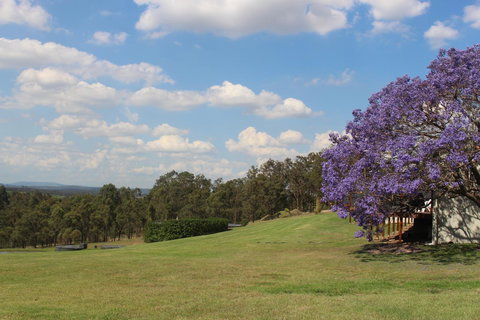 Wine Country Villas - Accommodation Main Beach 34