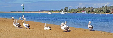 Pelican Motor Inn - Accommodation Main Beach 29