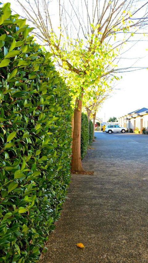 Best Western Plus Goulburn - Accommodation Main Beach 37