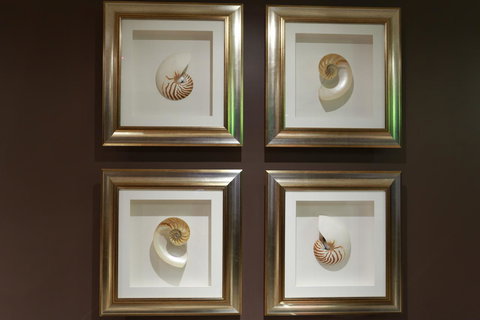 Peppers The Hills Lodge - Accommodation Main Beach 11