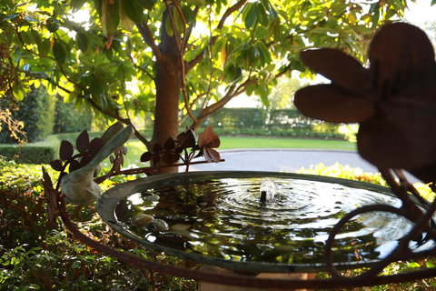 Peppers The Hills Lodge - Accommodation Main Beach 30