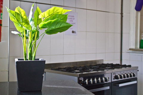 Mad Monkey Kings Cross - Accommodation Main Beach 19