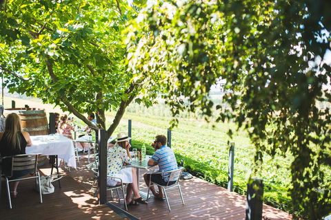 Borrodell Vineyard - Accommodation Main Beach 6