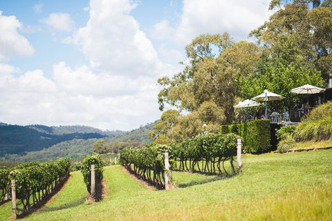 Borrodell Vineyard - Accommodation Main Beach 12