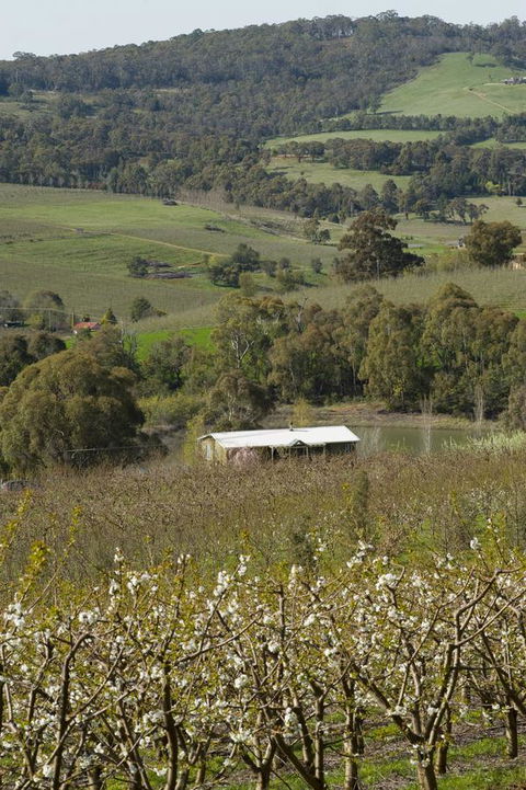 Borrodell Vineyard - Accommodation Main Beach 30