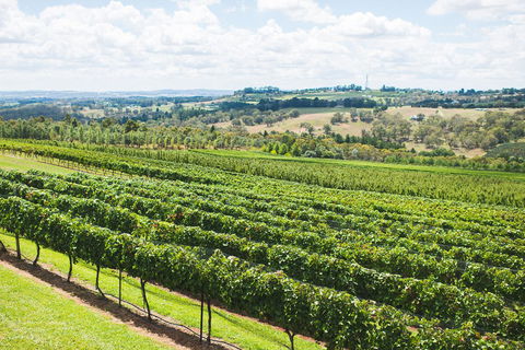 Borrodell Vineyard - Accommodation Main Beach 29