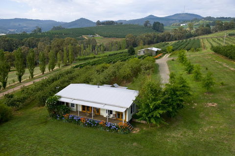 Borrodell Vineyard - Accommodation Main Beach 2