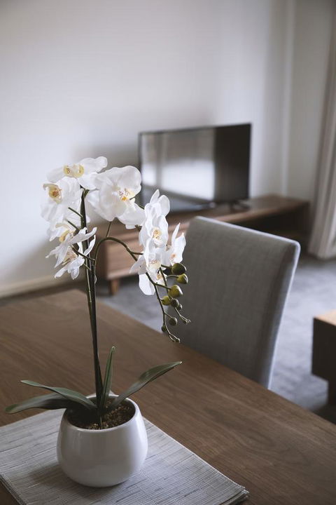 Quest Wagga Wagga - Accommodation Main Beach 11