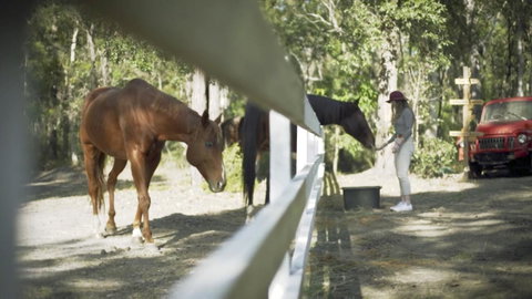 The Woods Farm Jervis Bay - Accommodation Main Beach 13