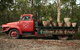 The Woods Farm Jervis Bay - thumb 8
