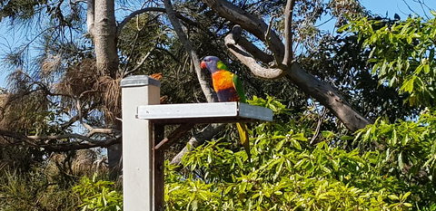 The Edgewater On Greville - Accommodation Main Beach 15